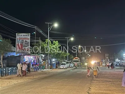 LED Street Light Plus Greening Vertical es un tipo de experiencia